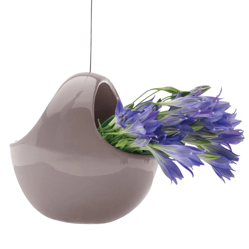 Hanging Aerium Ceramic For Succulents & Ikebana - Chive US Wholesale