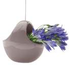 Hanging Aerium Ceramic For Succulents & Ikebana - Chive US Wholesale