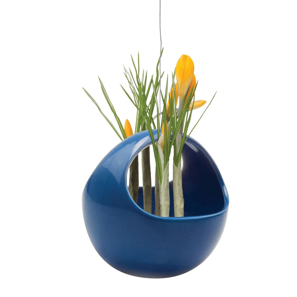 Hanging Aerium Ceramic For Succulents & Ikebana - Chive US Wholesale