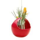 Hanging Aerium Ceramic For Succulents & Ikebana - Chive US Wholesale