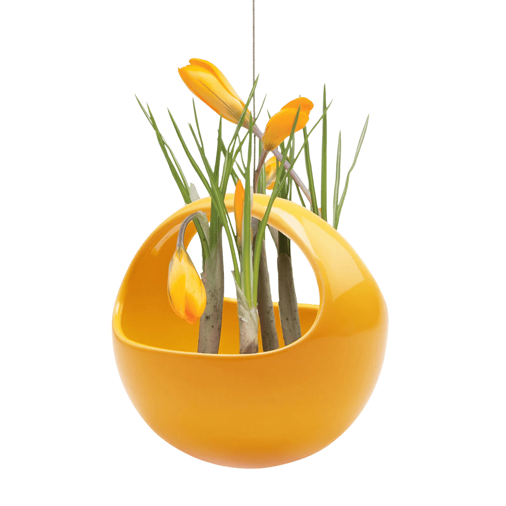 Hanging Aerium Ceramic For Succulents & Ikebana - Chive US Wholesale