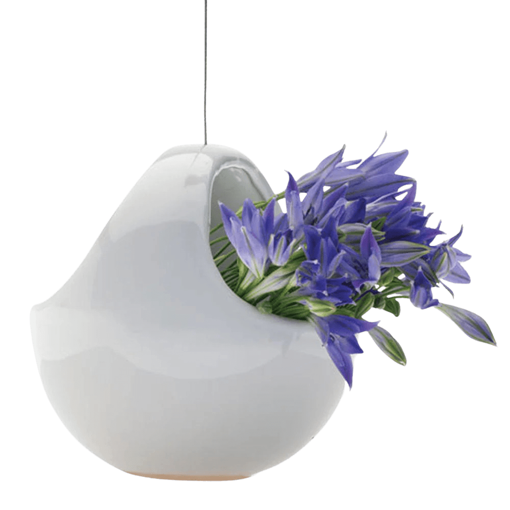 Hanging Aerium Ceramic For Succulents & Ikebana - Chive US Wholesale