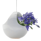 Hanging Aerium Ceramic For Succulents & Ikebana - Chive US Wholesale