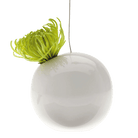 Hanging Aerium Ceramic For Succulents & Ikebana - Chive US Wholesale