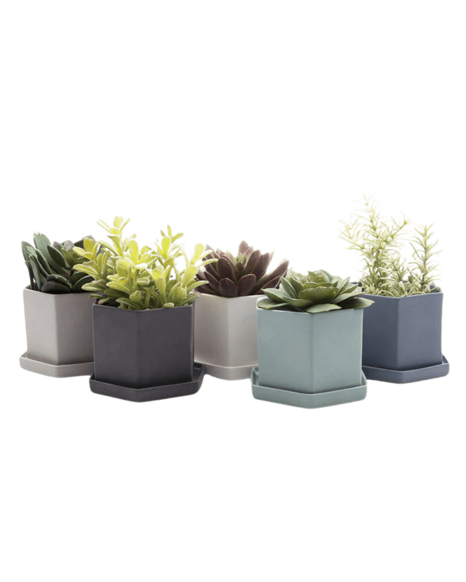 Hexi Porcelain Pot With Drainage Hole Kits - Chive US Wholesale