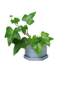 Hexi Porcelain Pot With Drainage Hole - Chive US Wholesale