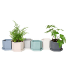 Hexi Porcelain Pot With Drainage Hole - Chive US Wholesale