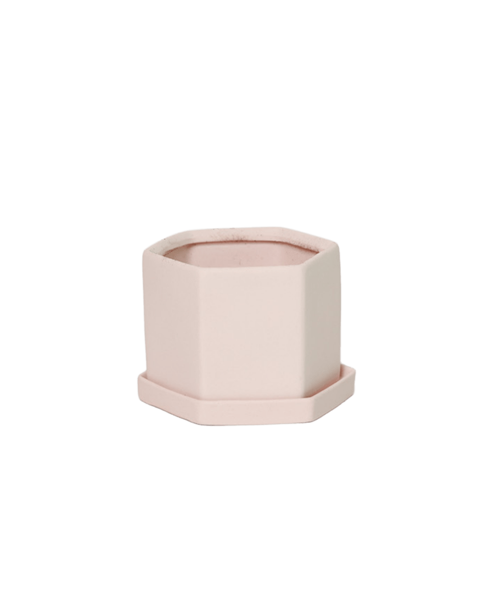 Hexi Porcelain Pot With Drainage Hole - Chive US Wholesale