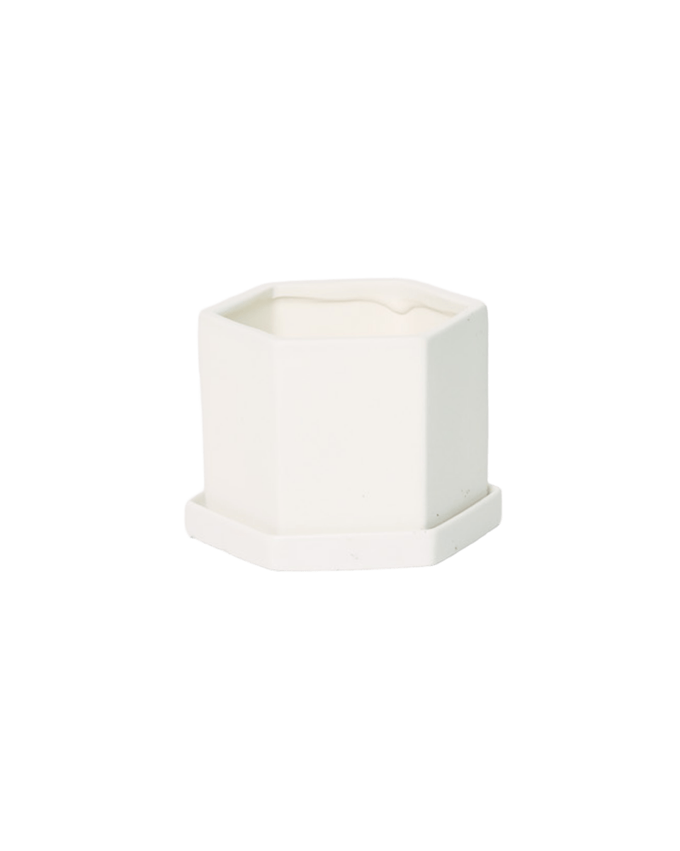 Hexi Porcelain Pot With Drainage Hole - Chive US Wholesale