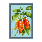 Habanada Pepper Vegetable Seeds Packet - Chive US Wholesale