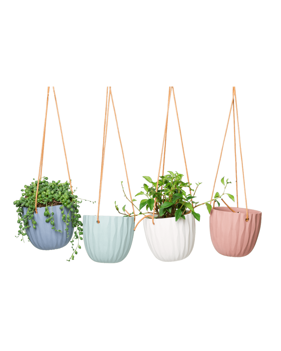 Virago Ceramic Modern Hanging Planter - Chive US Wholesale