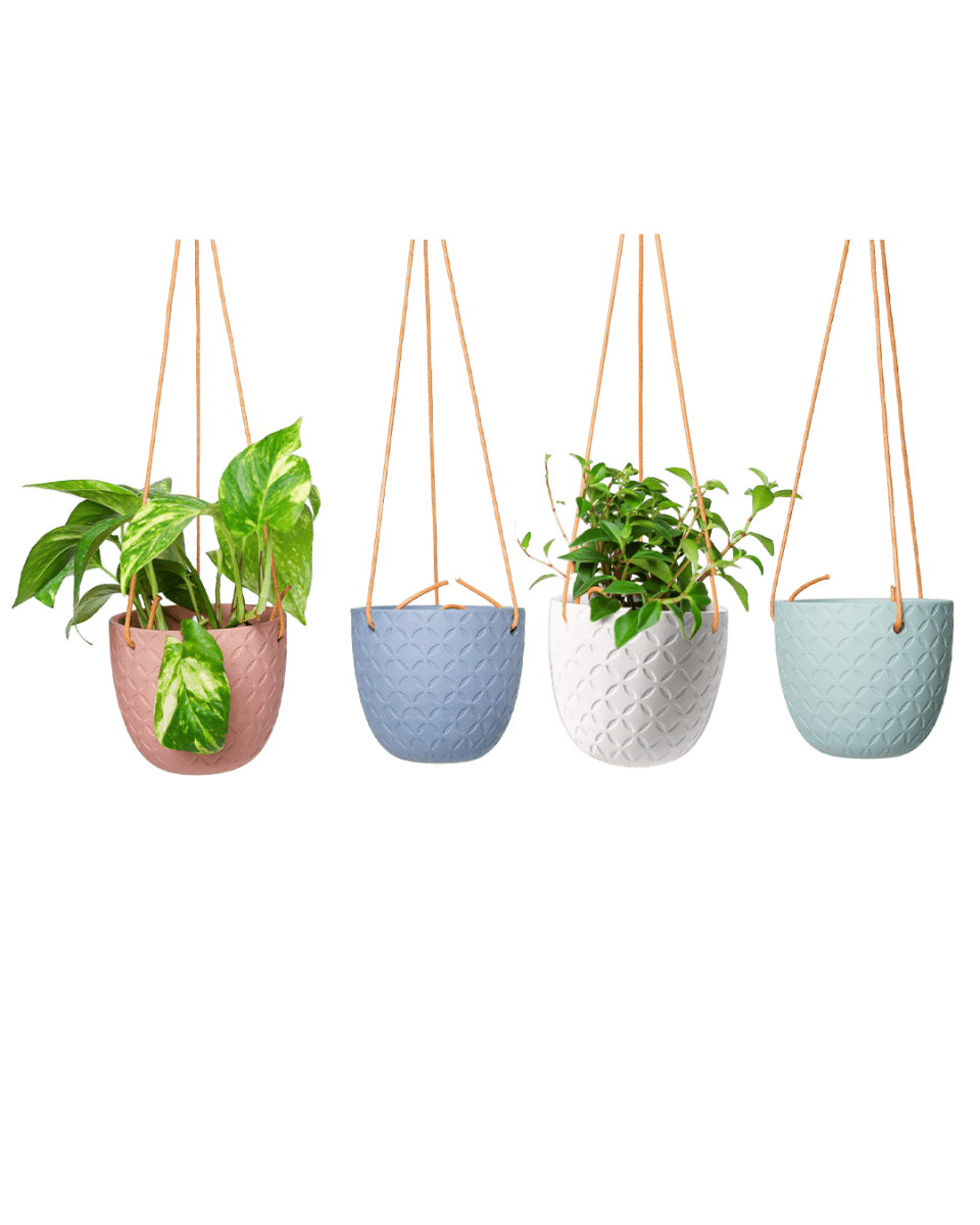 Virago Ceramic Modern Hanging Planter - Chive US Wholesale
