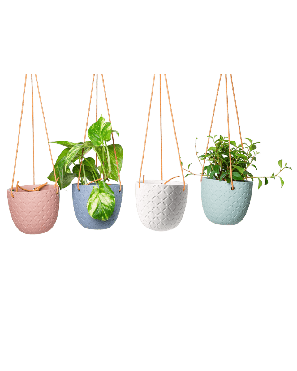 Virago Ceramic Modern Hanging Planter - Chive US Wholesale