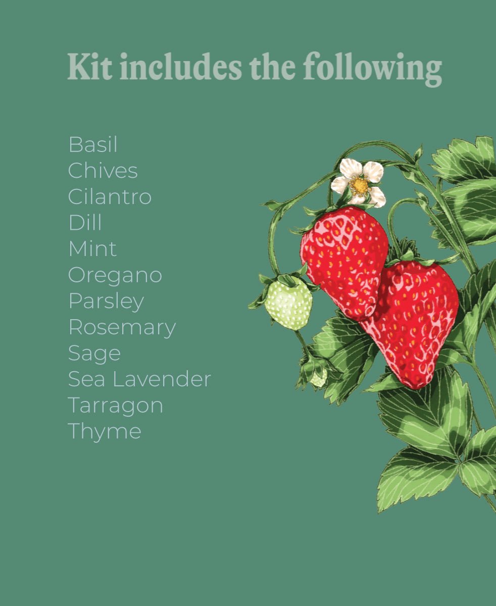 Herb Seeds Packets - 96pc Assortment 1 - Chive US Wholesale