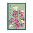 Honesty Plant Flower Seeds Packet - Chive US Wholesale