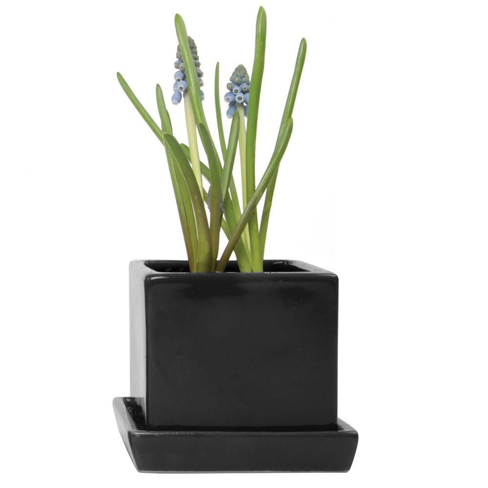 Cube & Saucer Ceramic Pot With Drainage Hole - Chive US Wholesale