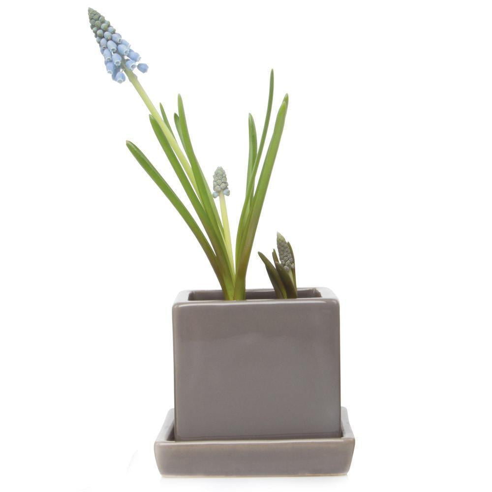 Cube & Saucer Ceramic Pot With Drainage Hole - Chive US Wholesale