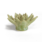 JA20 Pea Green Ghost Succulent - Chive US Wholesale