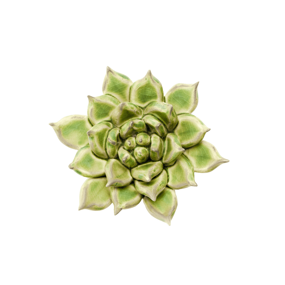 Japan Ceramic Flower Green Succulent - Chive US Wholesale