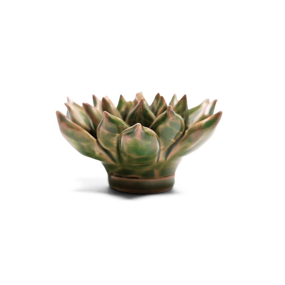 Japan Ceramic Flower Green Succulent - Chive US Wholesale