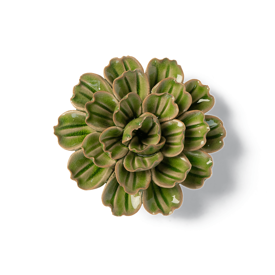 JA24 Avocado Green Petunia - Chive US Wholesale
