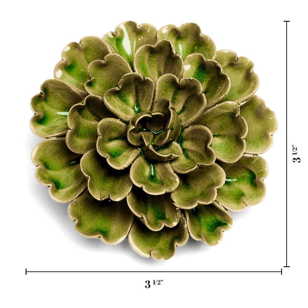 JA24 Avocado Green Petunia - Chive US Wholesale