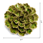 JA24 Avocado Green Petunia - Chive US Wholesale