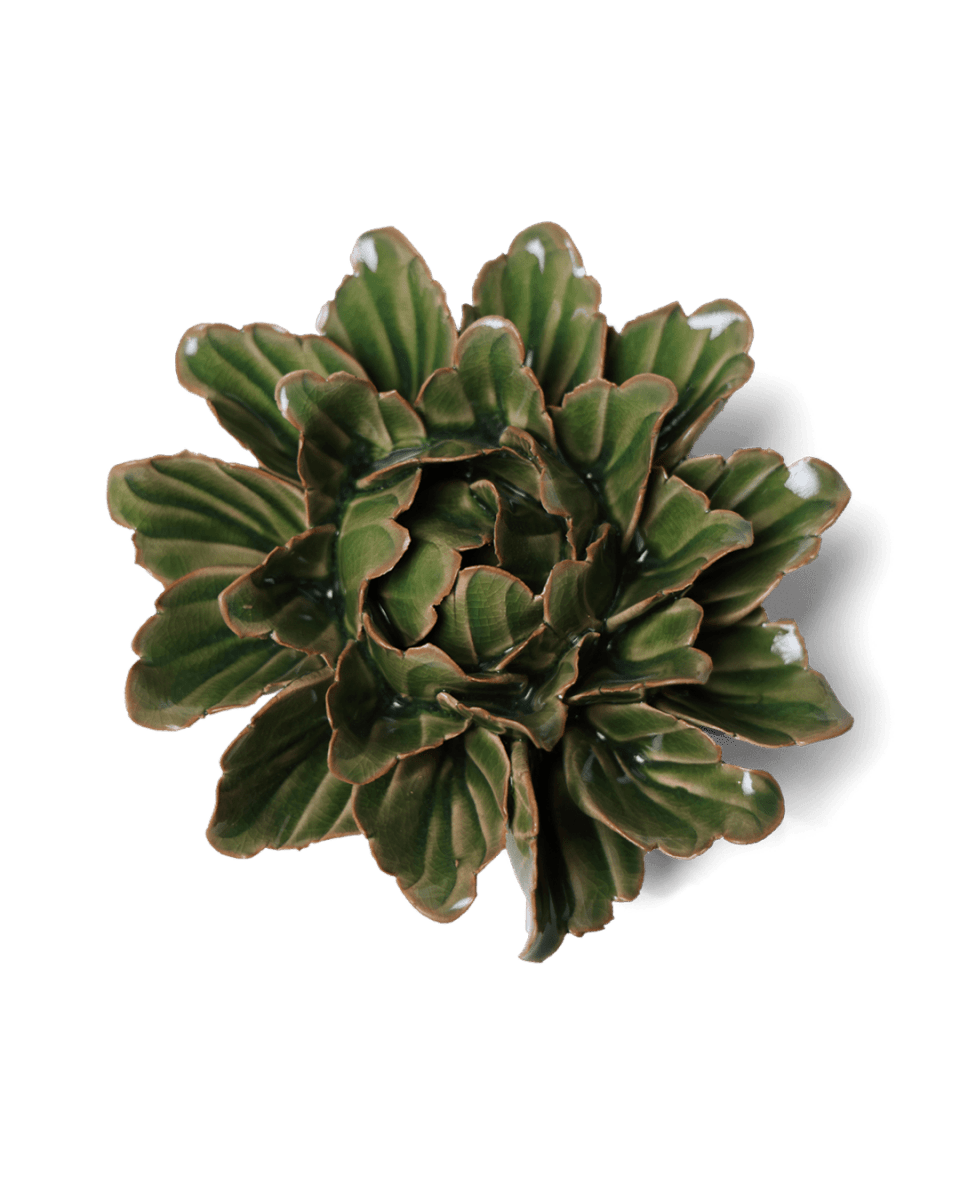 JA26 Avocado Green Sorbet Peony - Chive US Wholesale