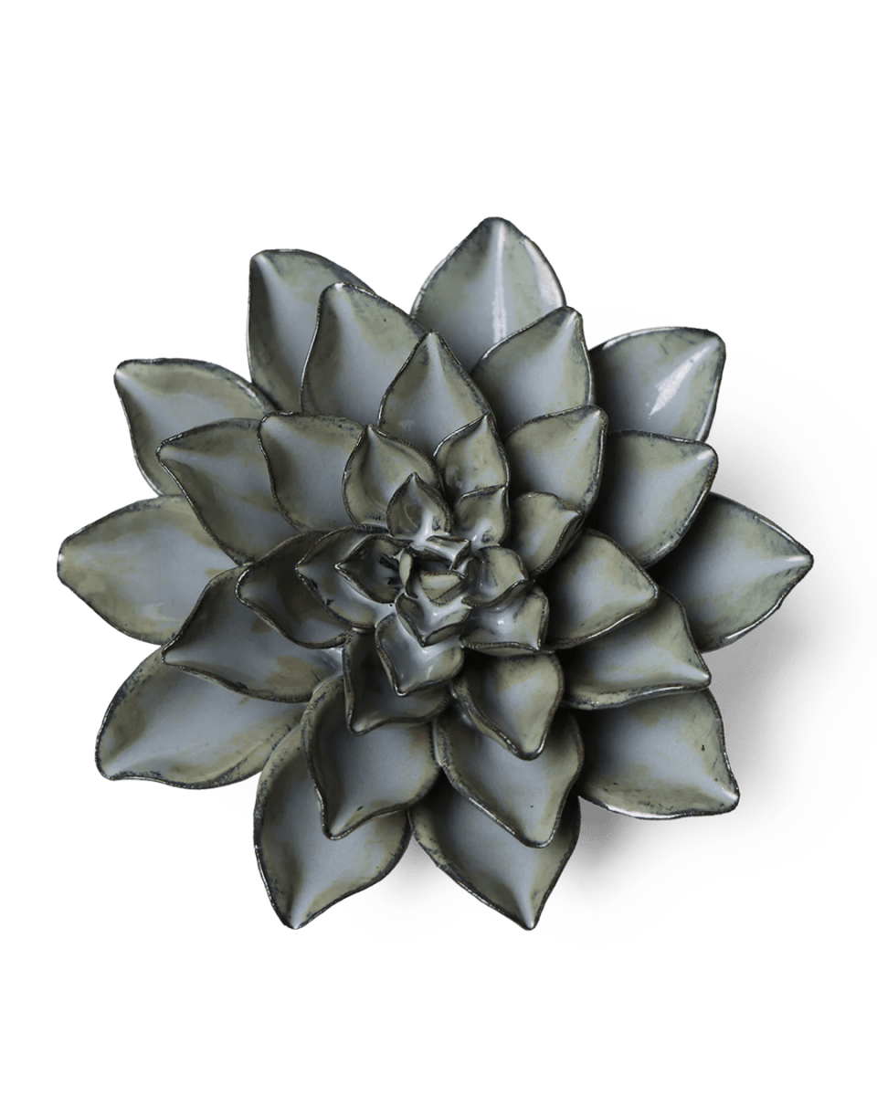JA01 Grey Goyet Azalea - Chive US Wholesale