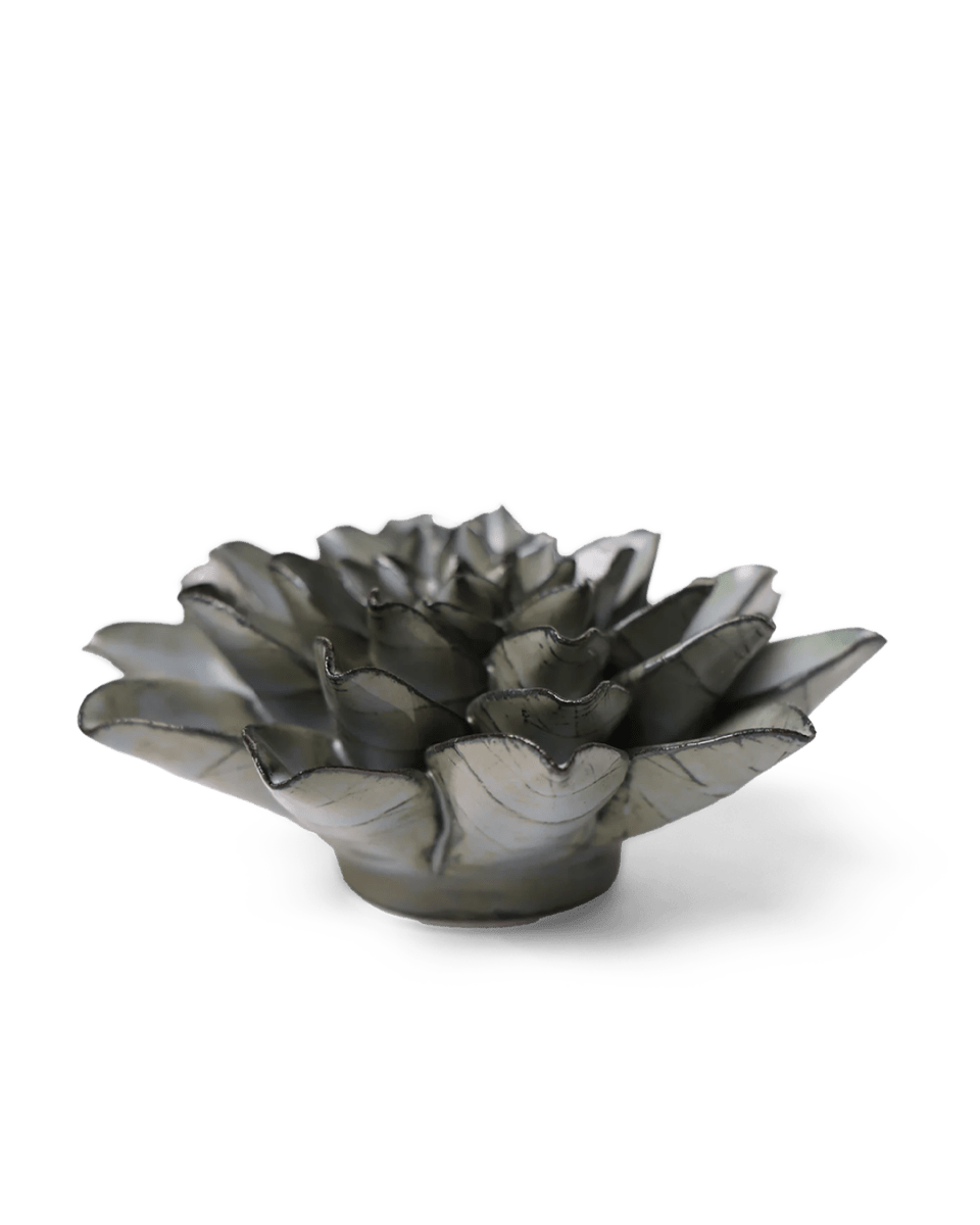 JA01 Grey Goyet Azalea - Chive US Wholesale