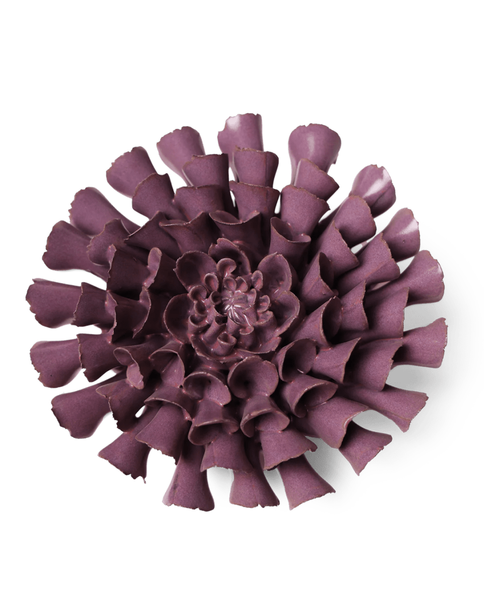 JA02 Violet Blue Cornel Dahlia - Chive US Wholesale