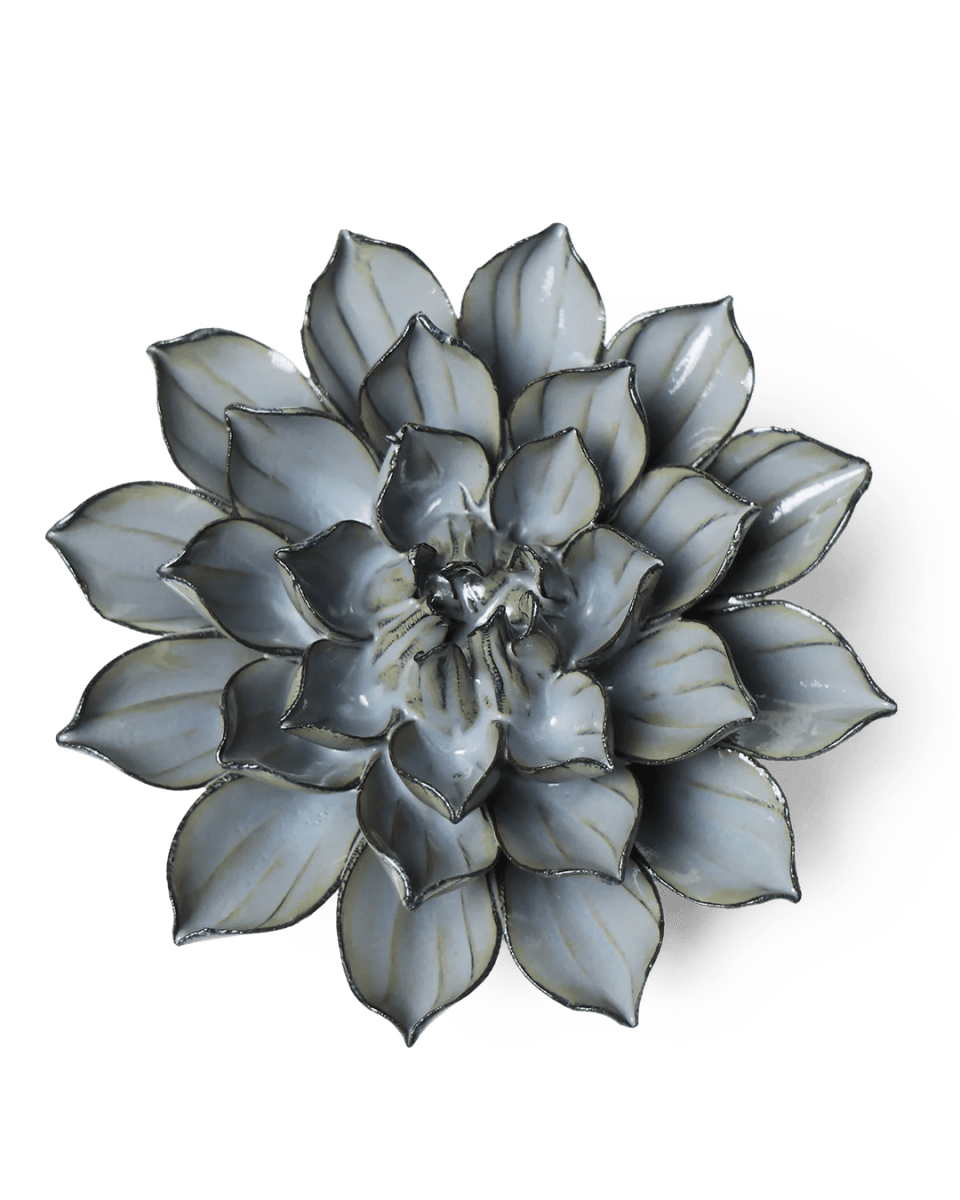 JA03 Grey Green Monch Aster - Chive US Wholesale
