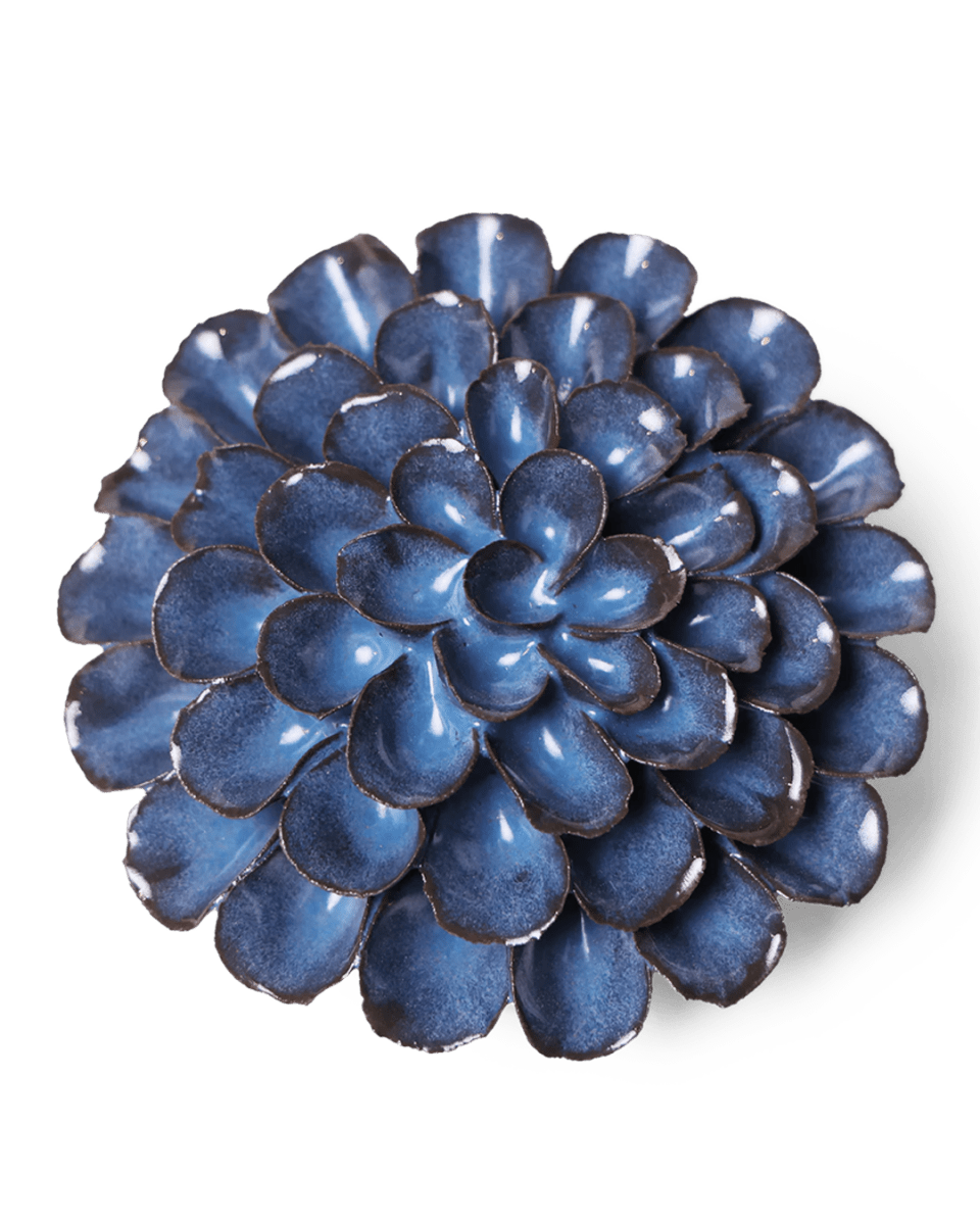 JA04 Blue Noir Pompon Dahlia - Chive US Wholesale