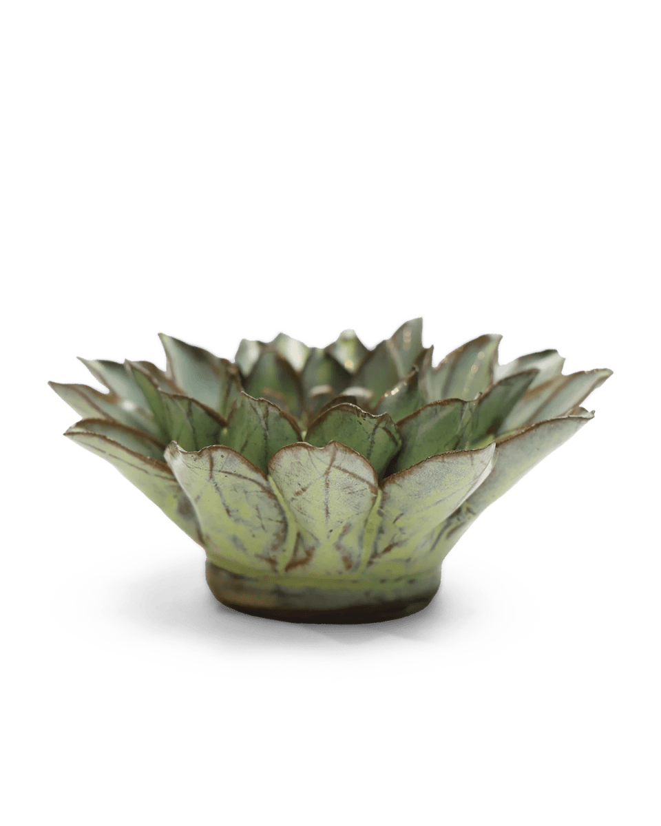 JA06 Pear Green Calico Aster - Chive US Wholesale
