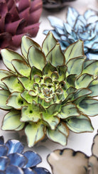 JA06 Pear Green Calico Aster - Chive US Wholesale