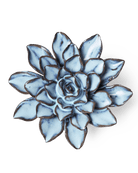 JA07 Seasonal Blue Alpine Aster - Chive US Wholesale