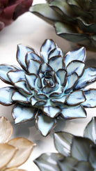 JA07 Seasonal Blue Alpine Aster - Chive US Wholesale