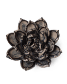 JA08 Latte Lola Echeveria - Chive US Wholesale