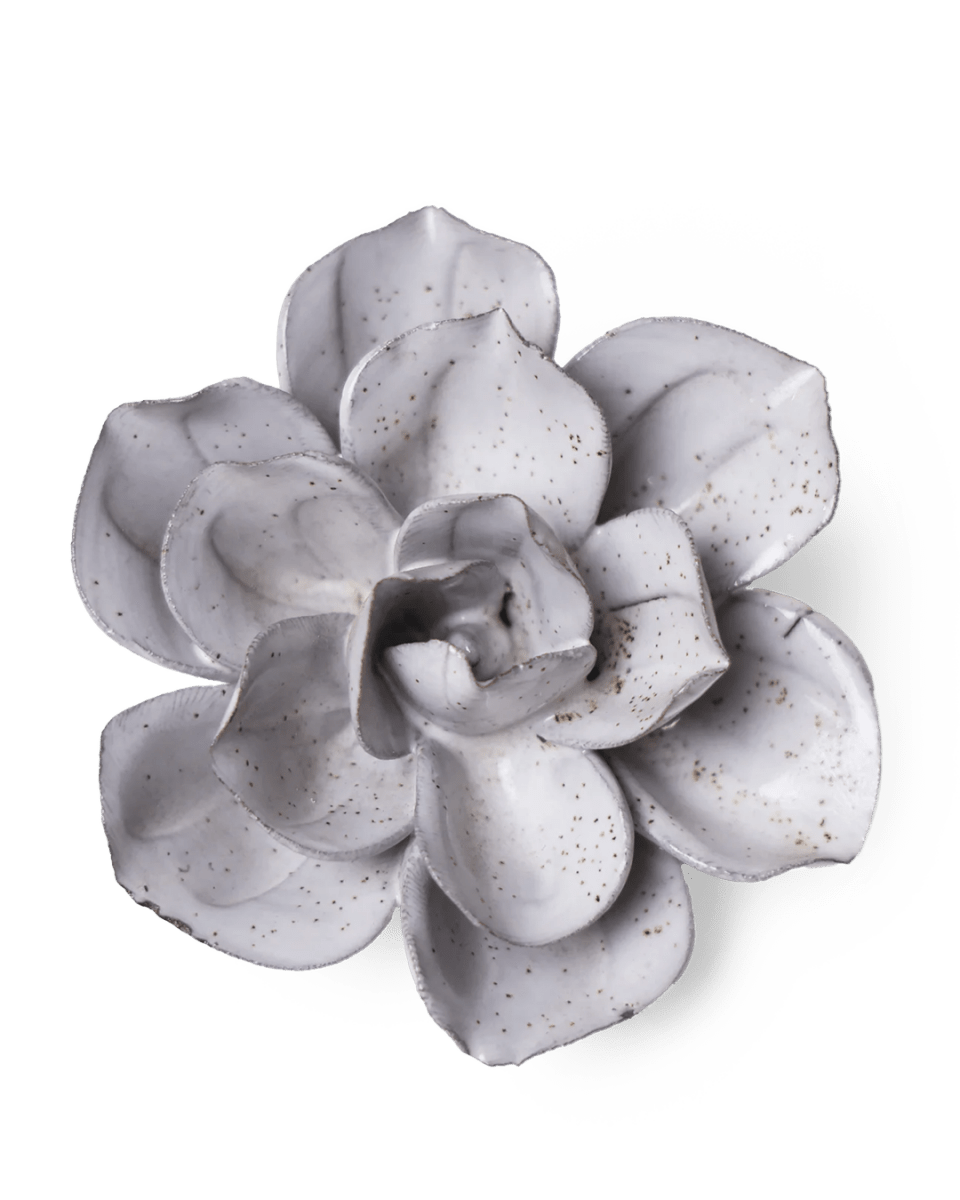 JA10 Cement Aqualla Gardenia - Chive US Wholesale