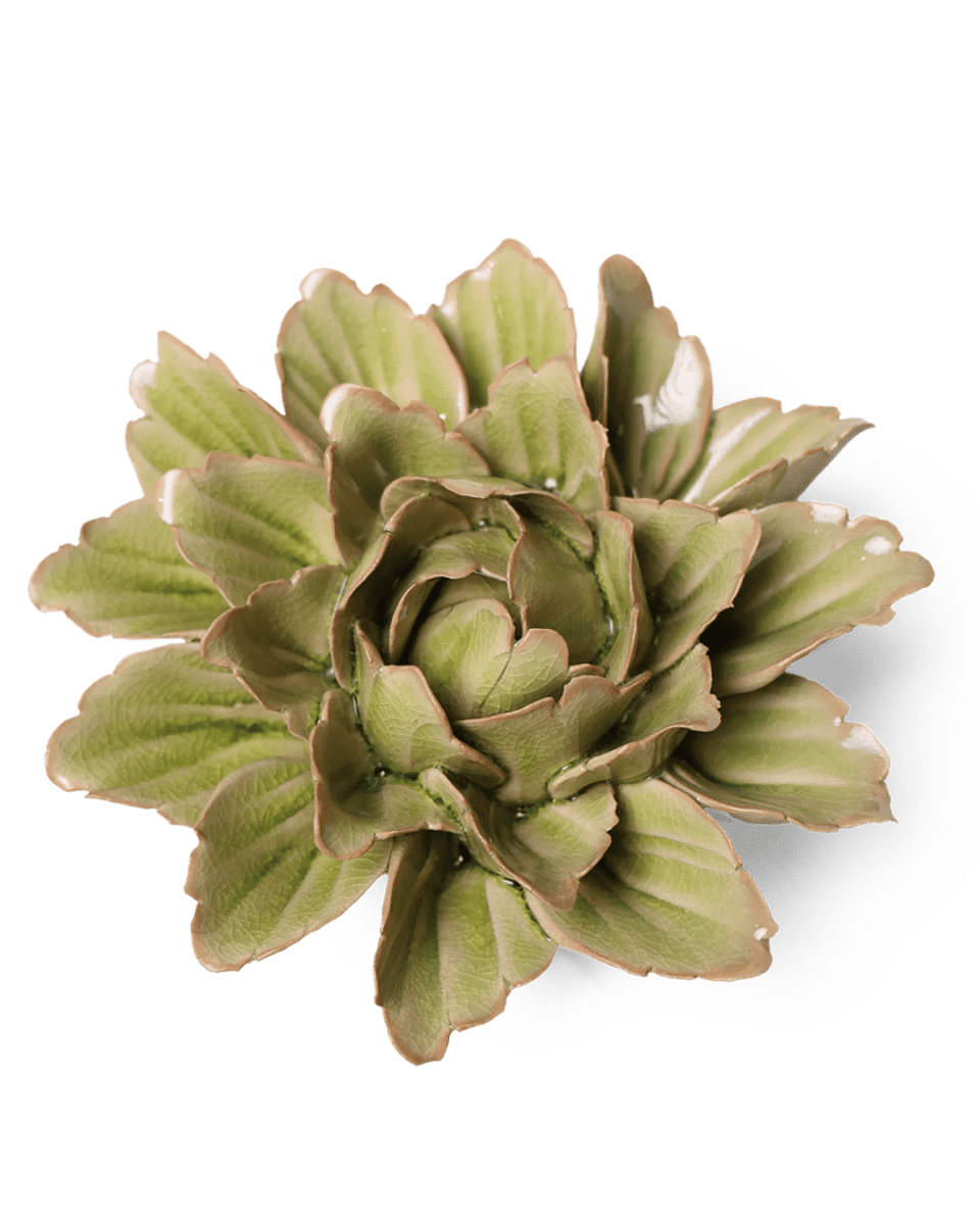 JA11 Peridot Sorbet Peony - Chive US Wholesale