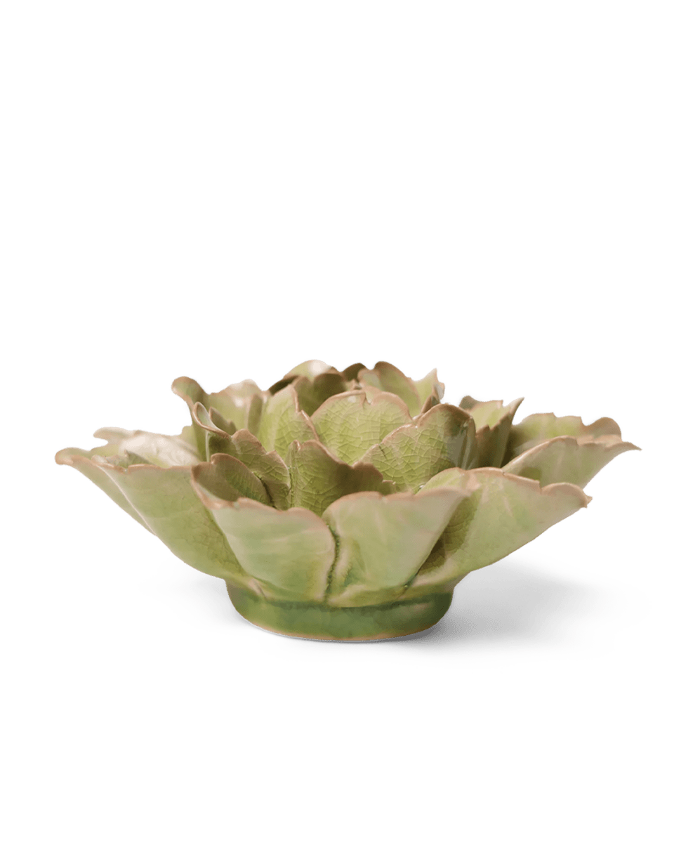 JA11 Peridot Sorbet Peony - Chive US Wholesale