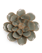 JA13 Moss Grey Oxeye Daisy - Chive US Wholesale