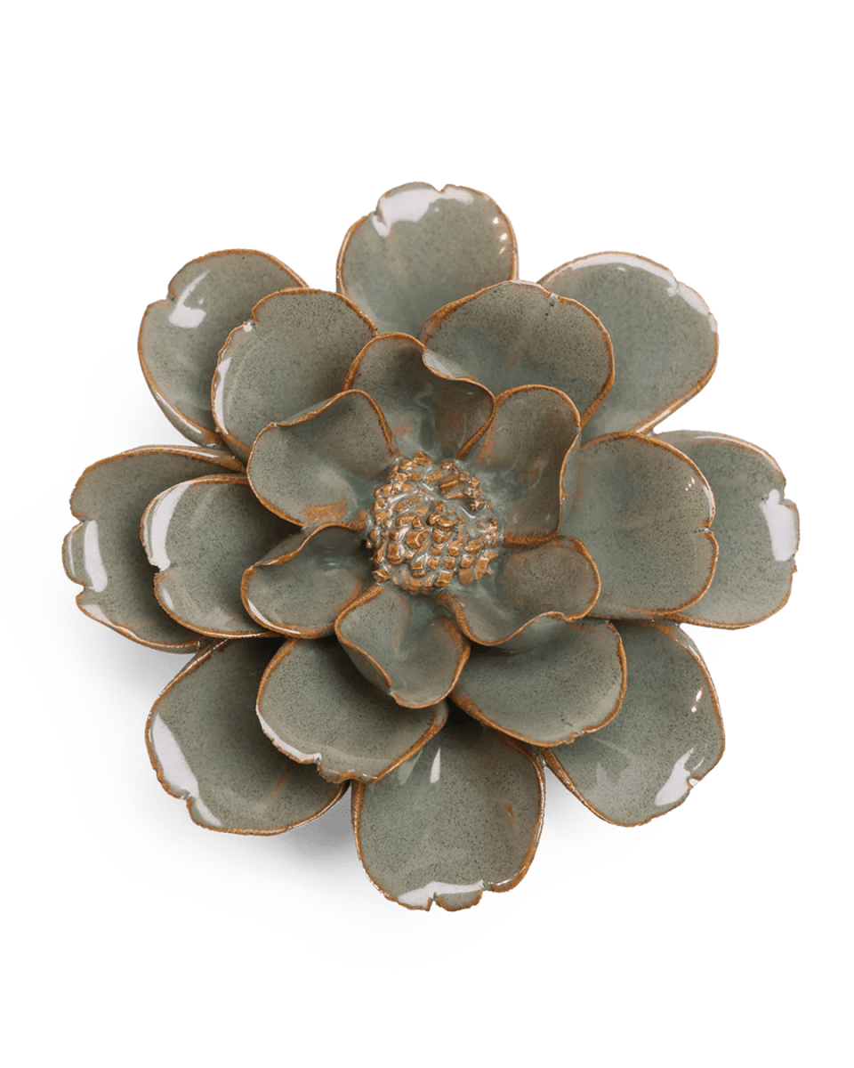 JA13 Moss Grey Oxeye Daisy - Chive US Wholesale