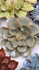 JA13 Moss Grey Oxeye Daisy - Chive US Wholesale