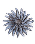 JA14 Blue Grey Gerbera Daisy - Chive US Wholesale