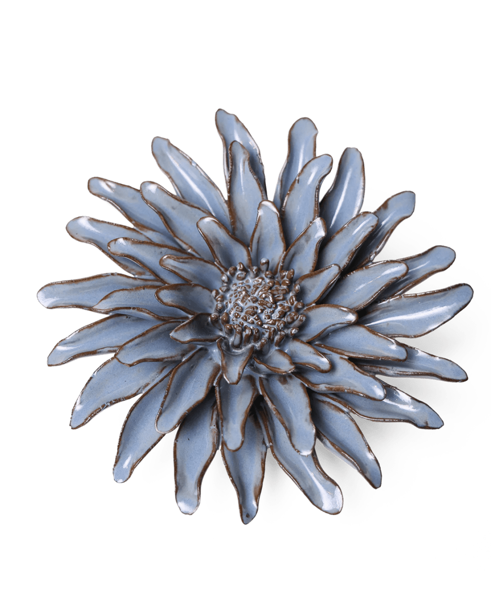JA14 Blue Grey Gerbera Daisy - Chive US Wholesale