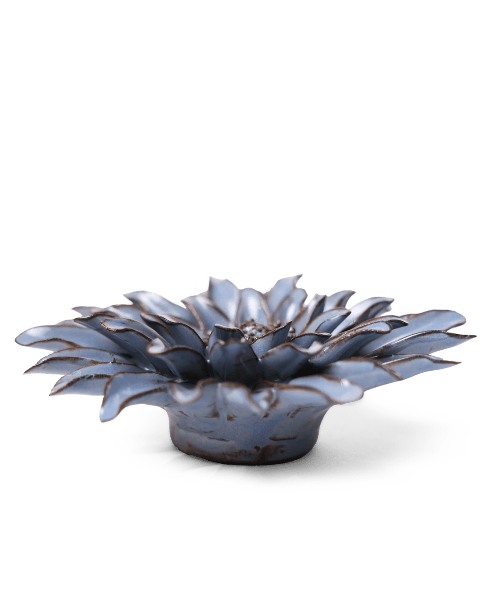 JA14 Blue Grey Gerbera Daisy - Chive US Wholesale