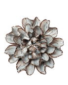 JA15 Chocolate Mint Echo Lisianthus - Chive US Wholesale