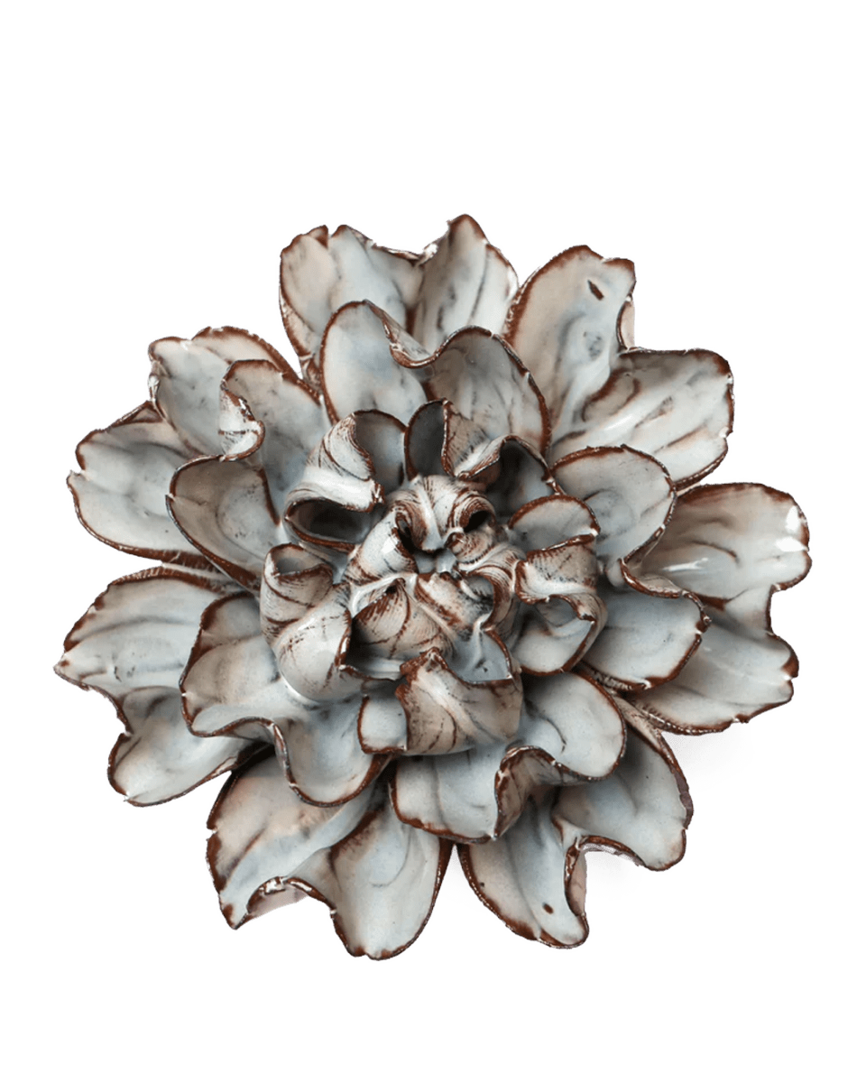 JA15 Chocolate Mint Echo Lisianthus - Chive US Wholesale