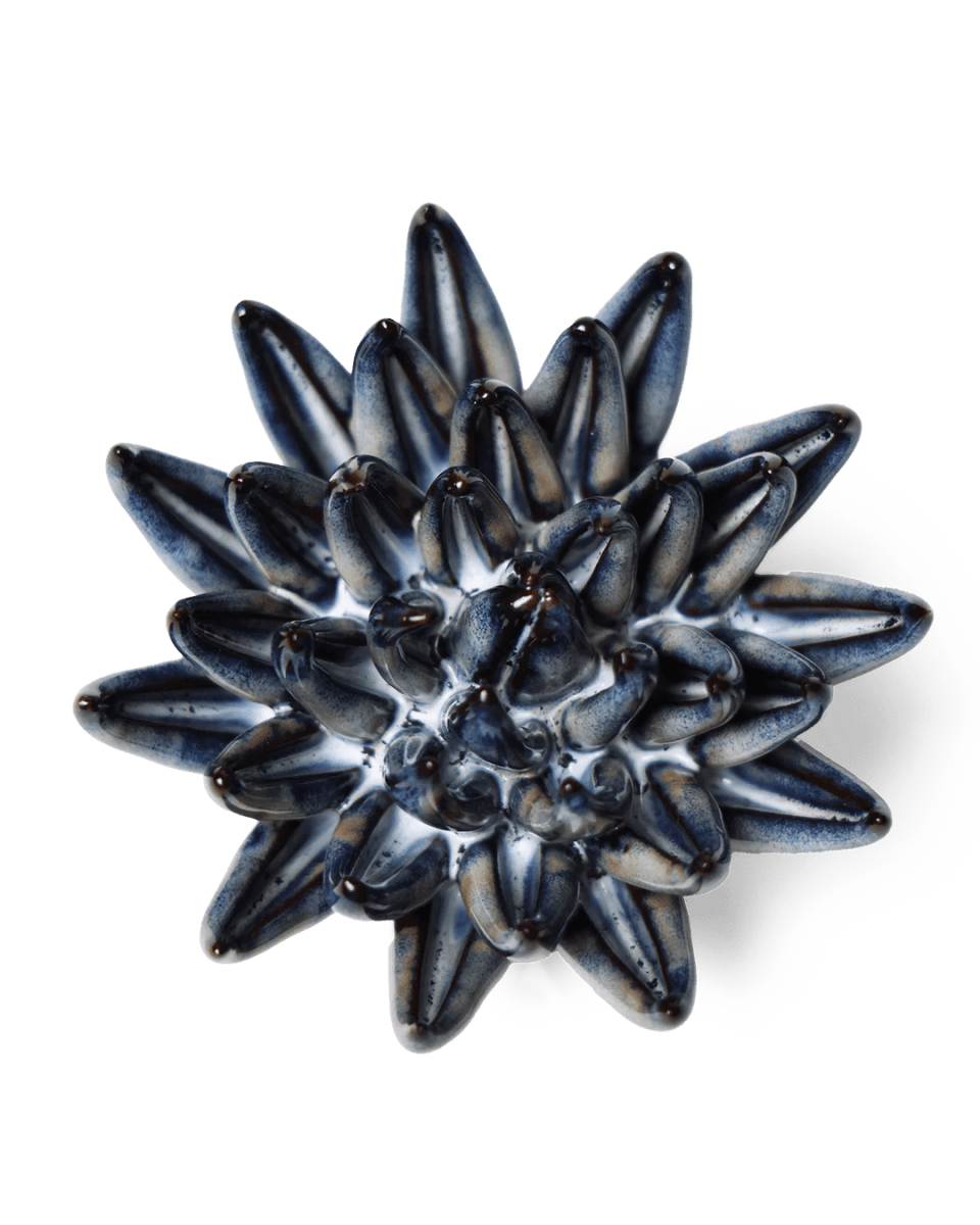 JA16 Navy Blue Chalksticks Succulent - Chive US Wholesale